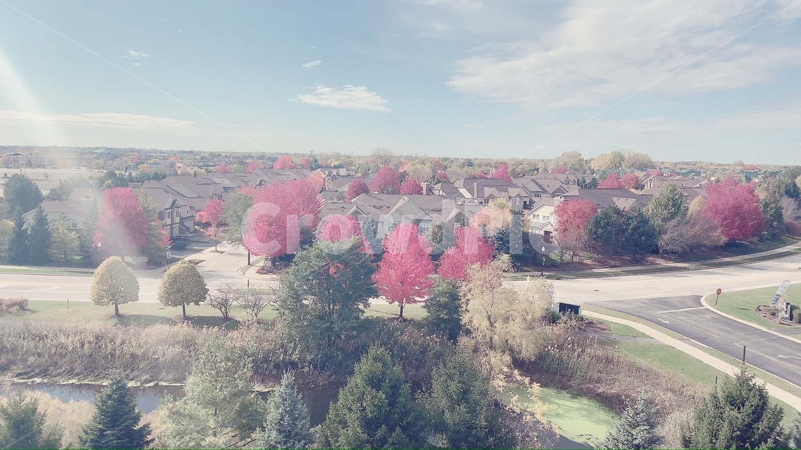 자연,단풍,고요,쉼,나무,시골,마을,풍경,landscape,country,rural,town