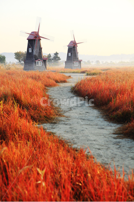 풍차,안개,자연,새벽,아침,자연,풍경,nature,landscape,한국자연풍경,한국자연경관,korea nature landscape,motor,모터,machine,기계,engine,엔진,turbine,터빈