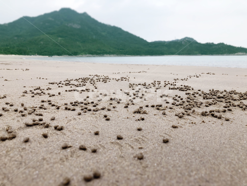 모래,바다,see,island,섬,여름휴가,게,흔적