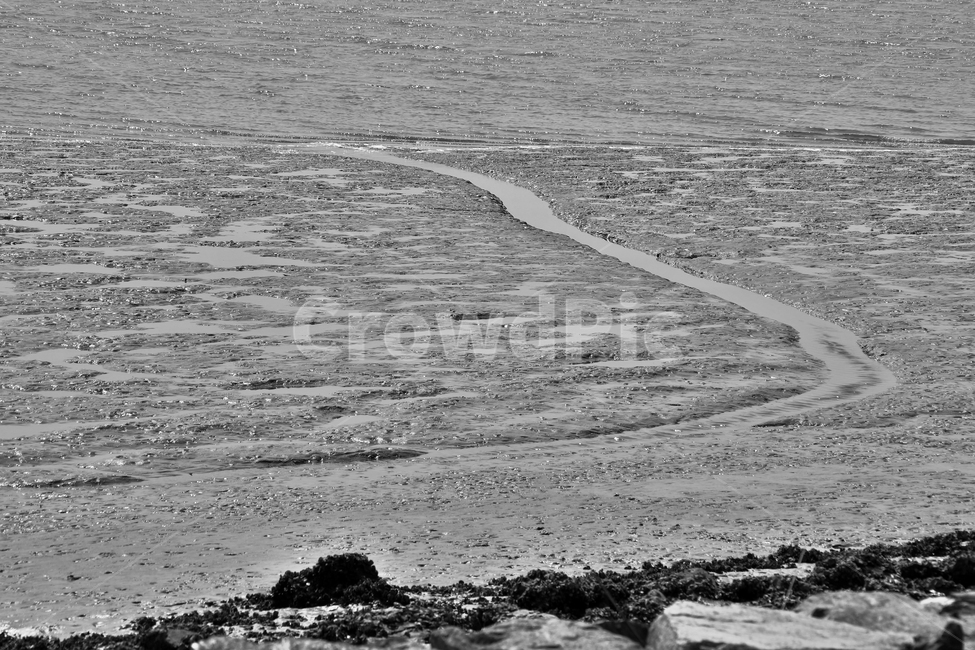 뻘,바다,갯벌,갯골,썰물,진흙,자연,자연,풍경,nature,landscape