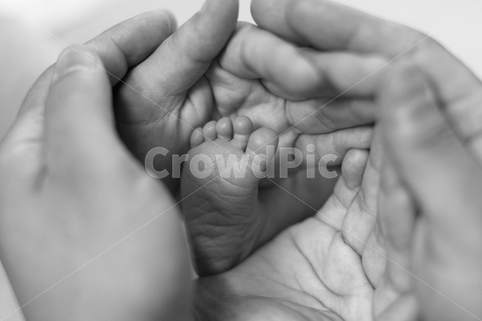 신생아,아기발,육아,감동,가족,bornart,본아트,우리아이,아기사진,사람,인물,인간,human,person,신체일부,몸,body,가족,패밀리,family,영유아,아기,애기,아이,infants,baby,흑백,모노톤,monochrome,black and white