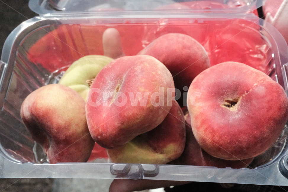 복숭아,food,과일,fruit,peach,과일,열매,fruit