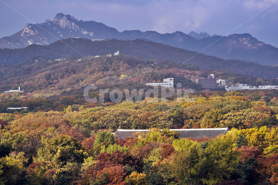 세운상가,종로,서울도심풍경,종묘,종로3가,가을,계절,단풍,가을,계절,fall,autumn,season