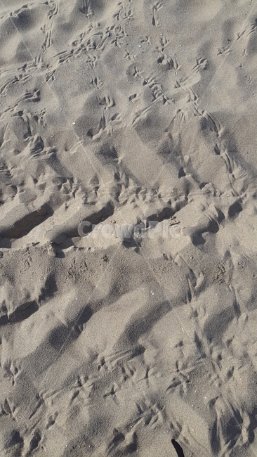 해수욕장,바닷가,백사장,모래,회색,패턴,자연,해변,바다,beach,sea,텍스처,질감,패턴,texture,pattern