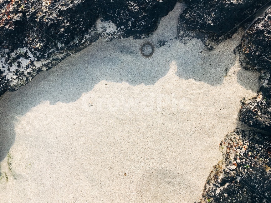 제주도,바다,협재해수욕장,모래,sea,맑은바다,jeju