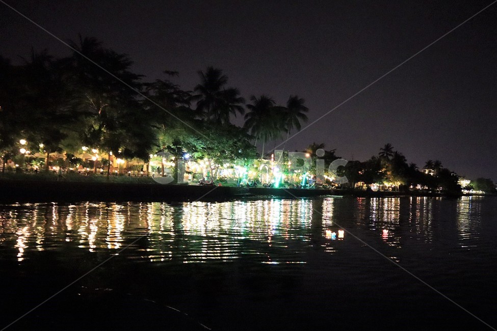 야경,밤,다낭,호이안,강,불빛,야경,밤,풍경,nightscape,night,landscape,tree,나무,palm tree,야자수,plant,식물,arecaceae,Arecaceae