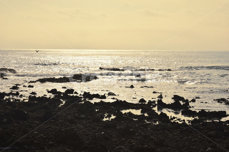 자연,바다,파도,물,야외,대양,nature,water,sea,outdoors,ocean,seawaves