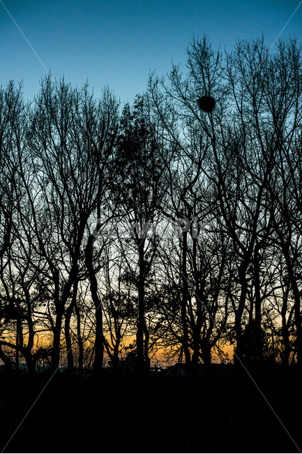 하늘,파란색,blue,korea,한국,자연,풍경,nature,landscape,실루엣,그림자,silhouette,shadow,outdoors,옥외