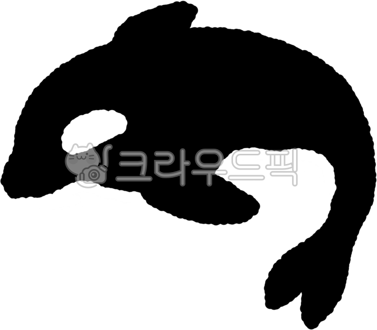 범고래,범고래일러스트,고래,고래일러스트,오르카,오르카일러스트,killerwhale,orca,바다동물,해양동물,해양생물,고래캐릭터,범고래캐릭터,고래파츠,범고래파츠,범고래눈,범고래무늬,범고래얼굴,고래얼굴,범고래표정,범고래눈썹,해양캐릭터,동물캐릭터,캐릭터파츠,얼굴파츠,눈썹파츠,눈파츠,웹툰소품,만화소품,캐릭터꾸미기,손그림일러스트,디지털드로잉,흑백동물,바다생물,수족관,해양테마,캐릭터디자인