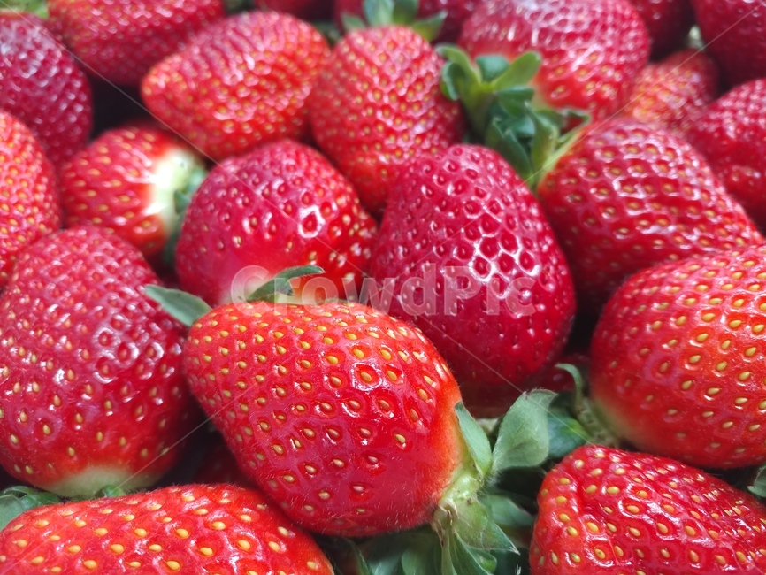 봄,딸기,빨강,과일,strawberry,음식,식재료,요리,food,cook,meal,dishes,food reserves,과일,열매,fruit