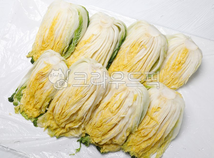 김치,김장,배추,배추김치,절임배추,음식,식품,채소,반찬,식물,야채,kimchi,makingkimchi,cabag,napacabbage,cabbagekimchi,food,sidedish,plant,vegetable,절임김치,백김치,pickledcabbage,whitekimchi,김치독,항아리,jar,kimchidog,fall,가을,음식,식재료,요리,food,cook,meal,dishes,food reserves,한식,한국음식,한국요리,korean food,korean dishes,korean meal,korean cook