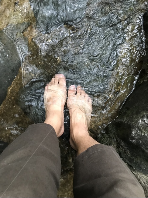 계곡,발,물,여름,휴가,여름,계절,summer,season,사람,인물,인간,human,person,신체일부,몸,body,toe,발가락
