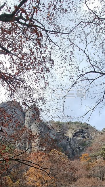 가을산,자연,계추,추계,계곡,mountain,juwangsanmountain,주왕산