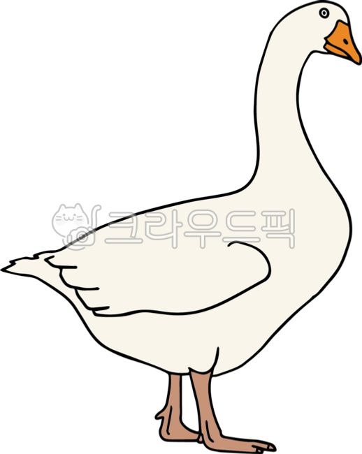 오리,오리일러스트,오리캐릭터,동물,동물일러스트