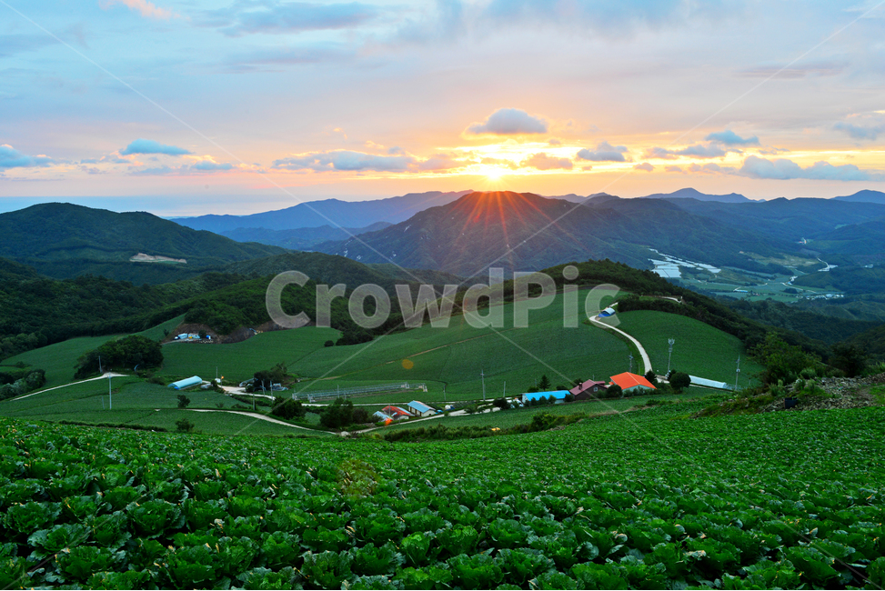 강원도,강릉,왕산면,안반데기,배추밭,빨간지붕,녹색지붕,아침,빛,빛갈림,일출,nature,자연,outdoors,옥외,countryside,한지방,자연,풍경,nature,landscape,한국자연풍경,한국자연경관,korea nature landscape,시골,마을,country,rural,town