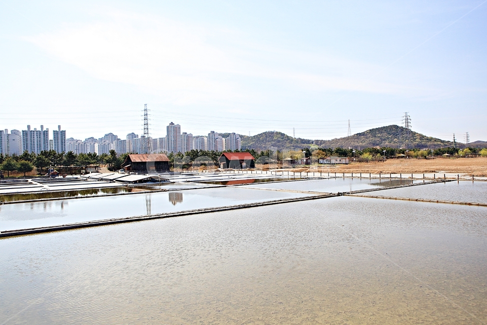 염전,창고,바다물,풍경,자연,배경,생태공원,자연,풍경,nature,landscape,시골,마을,country,rural,town,water,물