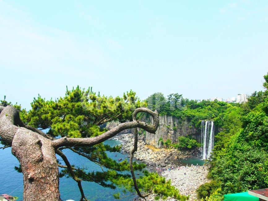 풍경,폭포,제주도,여행,자연,자연,풍경,nature,landscape,한국자연풍경,한국자연경관,korea nature landscape,제주도,jeju,jeju island,river,강,outdoors,옥외,water,물