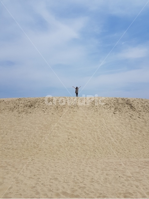 여름,모래사장,모래,언덕,해변,해운대,바닷가