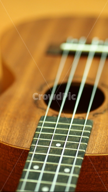 악기,우크렐레,우쿠렐레,연주,우쿨렐레,현악기,음악,instrument,music,ukulele,악기,음향기기,musical instrument,musical equipment