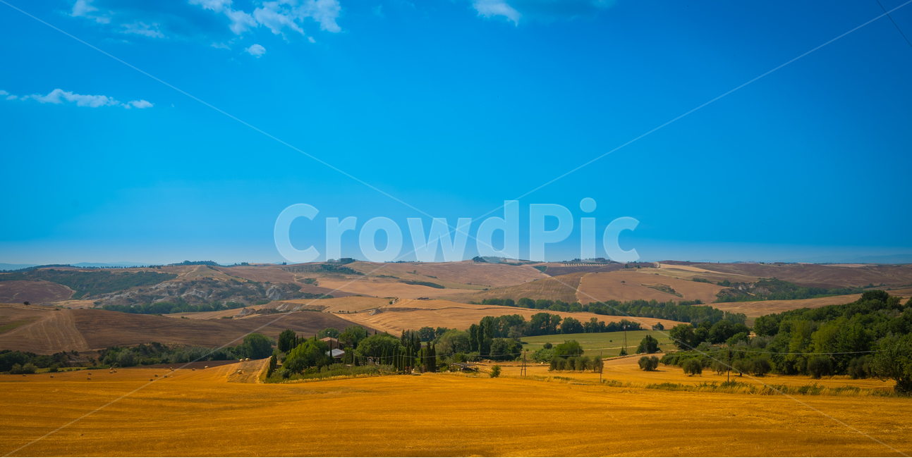유럽,이탈리아,토스카나,자연,풍경,밀밭,europe,italia,tuscany,nature,landscape,countryside,ruralarea,자연,풍경,nature,landscape,해외,외국,세계,foreign,oversea,world,세계자연풍경,해외자연풍경,외국자연풍경,world nature landscape,outdoors,옥외