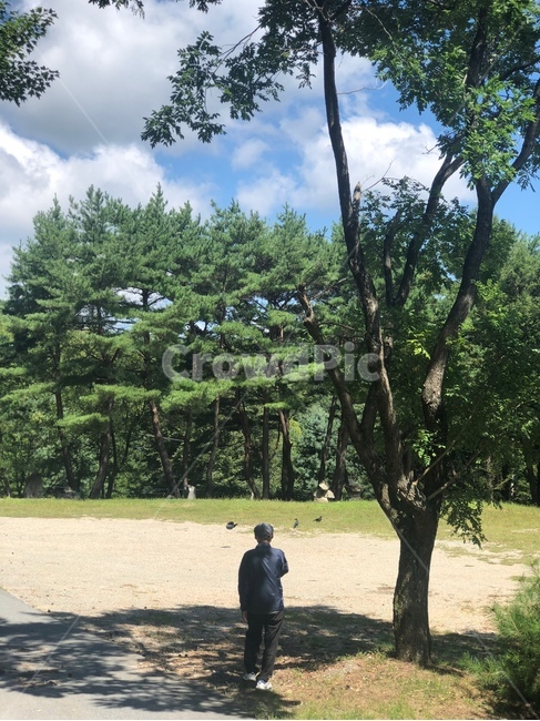 할아버지,뒷모습,풍경,자연,나무,자연,풍경,nature,landscape,사람,인물,인간,human,person,남성,남자,man,male,노인,어르신,old man, senior citizen,outdoors,옥외,tree,plant,식물