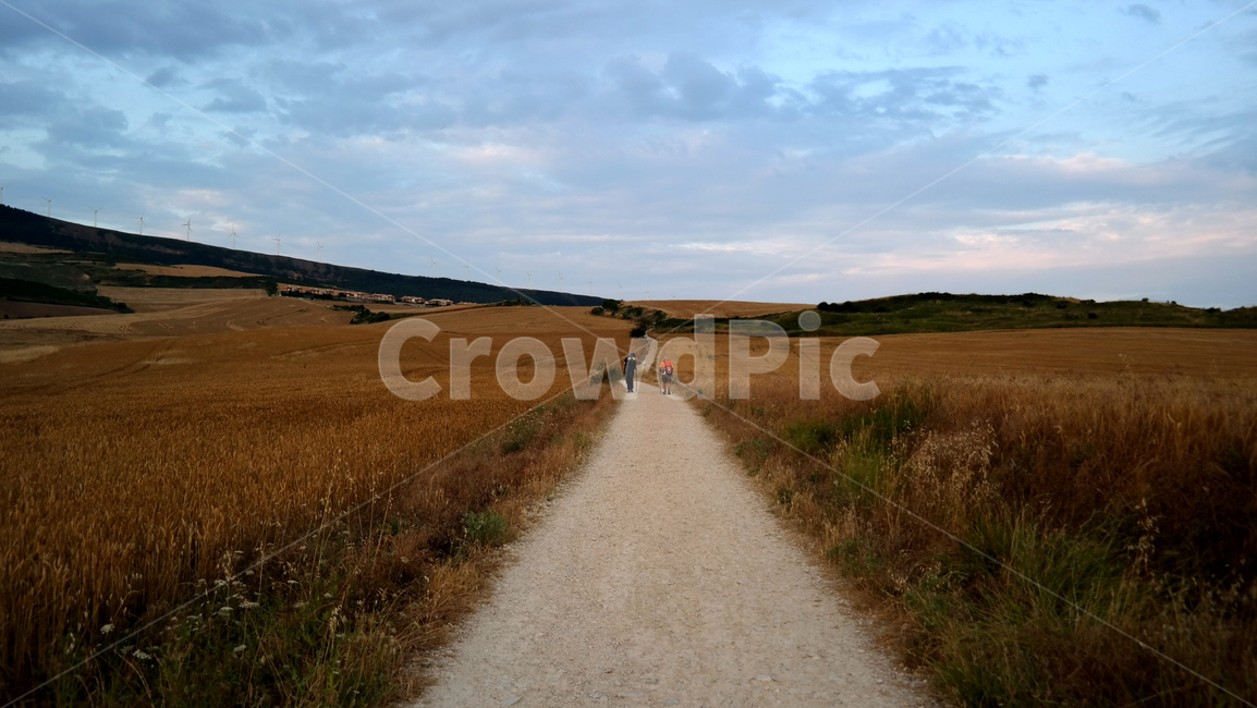 스페인,순례길,산티아고순례길,길거리,자연,camino,caminodesantiago,santiago,buencamino,자연,풍경,nature,landscape,dirt road,흙길,gravel,자갈,road,도로,ground,바닥
