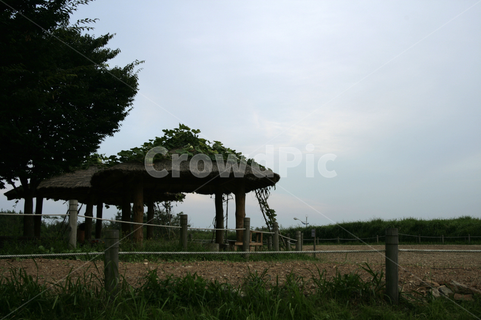 식물,plants,nature,원두막,풍경,여름,하늘,공원,자연,풍경,nature,landscape,한국자연풍경,한국자연경관,korea nature landscape,porch,현관,patio,안마당,pergola,페르 골라