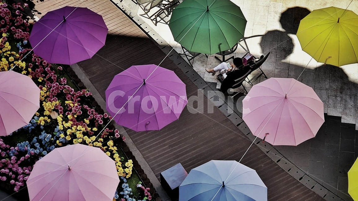 우산,양산,꽃,기다림,빛,그늘,물건,여인,오브젝트,thing,object,umbrella