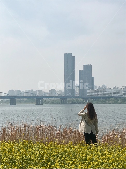 서울,한강,유채꽃,여성,뒷모습,여자,woman,river,bridge,seoul,건물