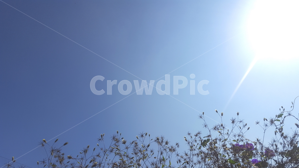하늘,태양,배경,가을,초원,자연,풍경,nature,landscape,outdoors,옥외,light,빛,flare,플레어