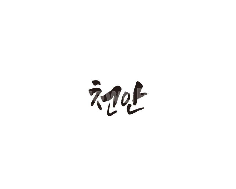 충남,천안,천안시,캘리,지역,캘리그라피,그래픽,일러스트레이션,graphic,illustration,캘리그라피,손글씨,calligraphy