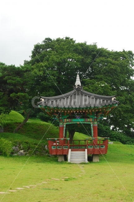 정자,건축,전통,전통건축,전통건축물,한국,자연,풍경,숲,고건축,한국전통,한국문화,korean traditional,korean culture