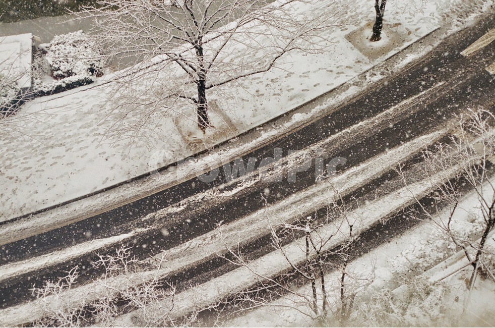 눈,겨울,도로,길,차도,색감,감성,배경,필름,겨울,계절,winter,season,감성,sensible,feeling