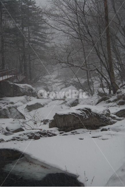 겨울,명산,눈,등산로,자연,겨울,계절,winter,season,자연,풍경,nature,landscape,한국자연풍경,한국자연경관,korea nature landscape,blizzard,눈보라,storm,폭풍,snow,outdoors,옥외