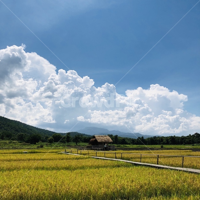 치앙마이,뱀부브릿지,태국풍경,태국,bamboobridge,chiangmai,taiview