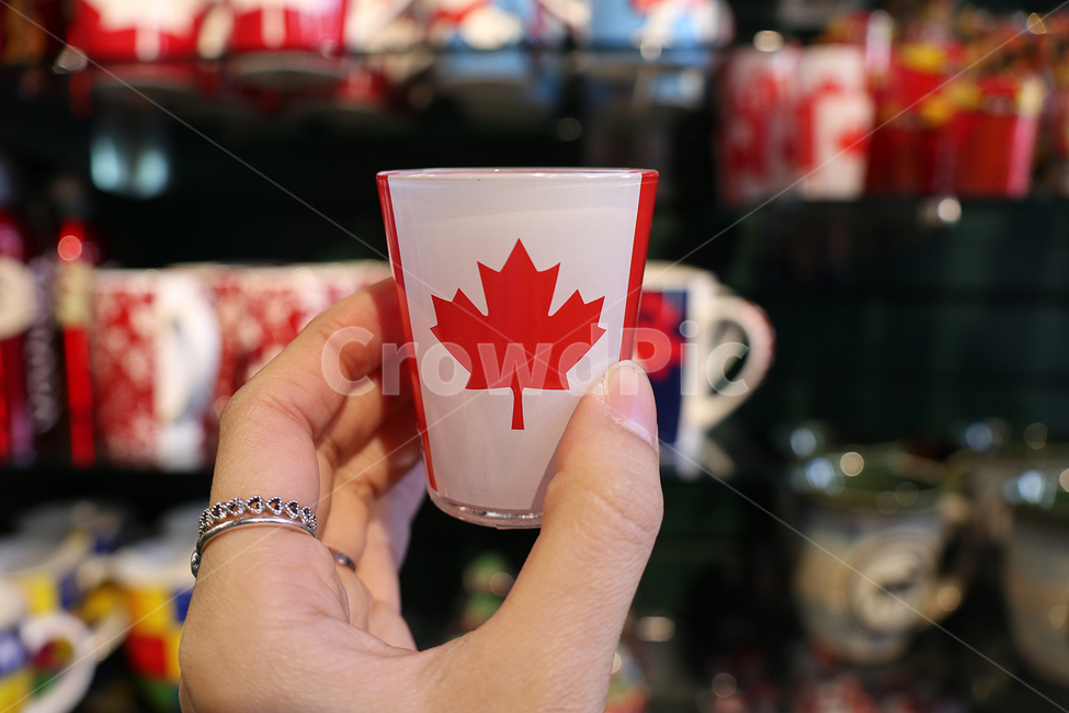 toronto,토론토,캐나다,기념품,상품