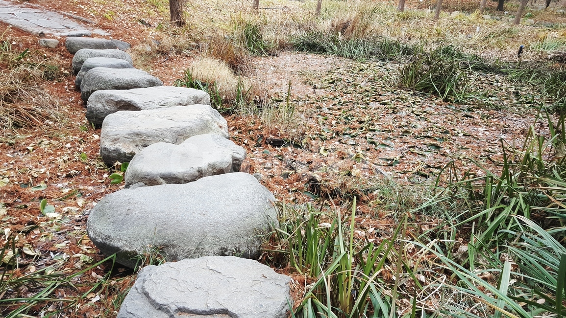 돌다리,늪,낙엽,가을,추억