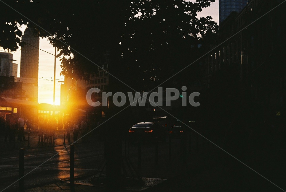 역광,빛,거리,저녁,감성,도시,풍경,city,landscape,감성,sensible,feeling,light,flare,플레어
