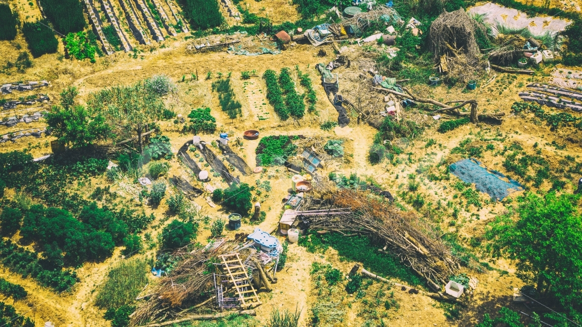 농촌,밭,자연,풍경,나무,농작물,농장,시골,마을,풍경,landscape,country,rural,town
