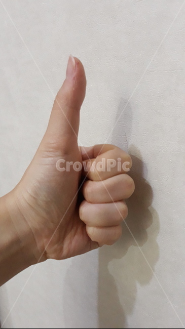 finger,손가락,thumbsup,엄지손가락,사람,인간,person,최고,따봉,굳,good,단정,좋아요,살색,손,배경,신체일부,몸,body,손,제스처,표시,손짓,표현,gesture,hand,sign,expression