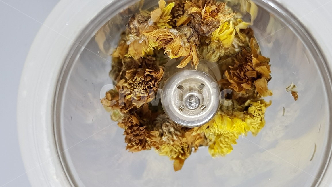 꽃,꽃차,국화꽃,드라이플라워,말린꽃,flowertea