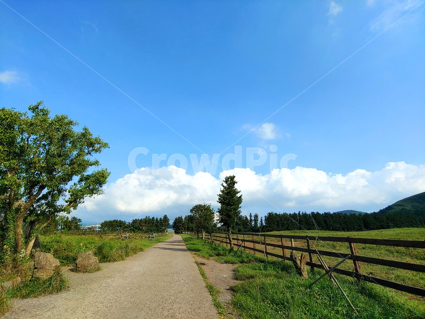 road,도로,nature,자연,outdoors,흙길,dirtroad,자갈,gravel,옥외,길,rod,로드,시골길,농촌