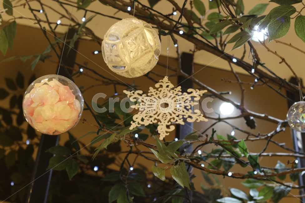 눈꽃,구슬장식,장식,겨울장식,구슬,겨울,계절,winter,season,기념일,축하,anniversary,congratulation,celebrate,celebration,메리크리스마스,성탄절,merry christmas,인테리어,실내디자인,interior design,사물,물건,오브젝트,thing,object,matter