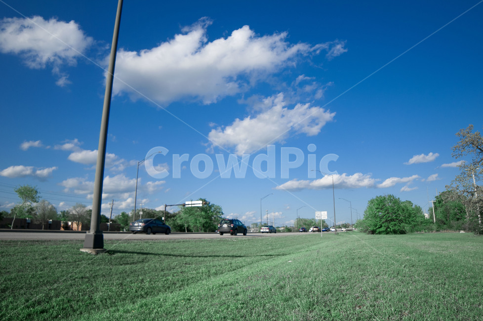 plant,식물,grass,잔디,구름,전봇대,자연,풍경,nature,landscape