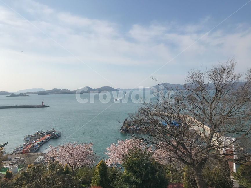사천,전망대,바다,항구,맑은날,바닷가,벛꽃,자연,풍경,nature,landscape,land,땅,outdoors,옥외,water,물,sea,ocean,대양,shoreline,해안선