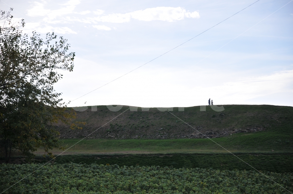 가을,하늘,풍경,언덕,나무,자연,풍경,nature,landscape