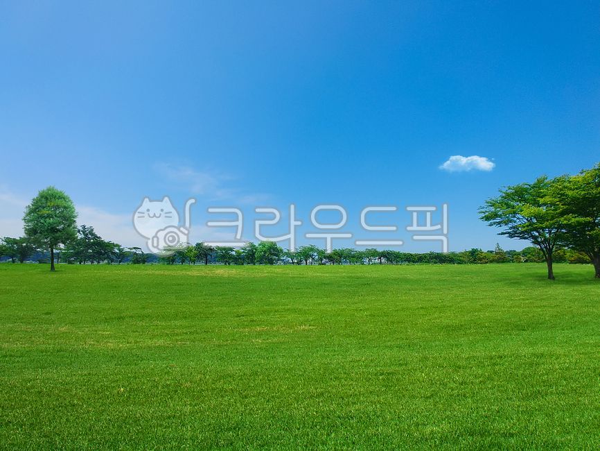 환경,평원,평지,초원,풀밭,나무,잔디,자연보호,풀,하늘,자연,풍경,식물,배경,환경보호,녹색,tree,공원,구름,background,landscape,scenery