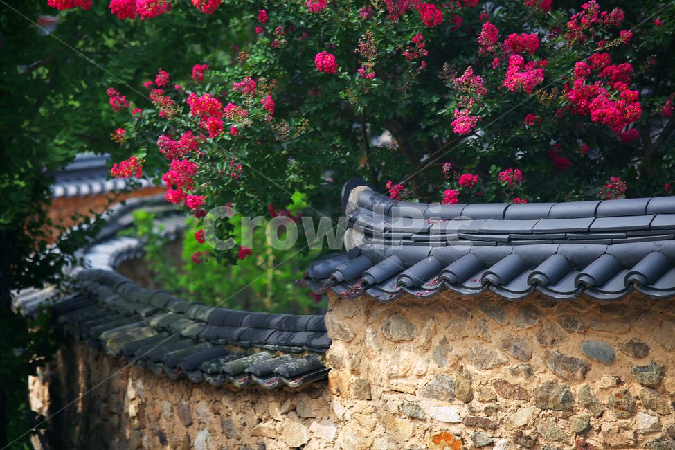 전통가옥,한옥,담장,기와,고전,한국전통,한국문화,korean traditional,korean culture,건축물,건물외관,exterior,building,structure,architecture,construction