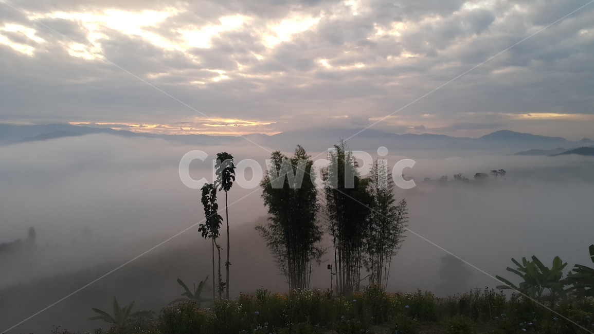안개,구름,하늘,일출,빠이,자연,풍경,nature,landscape,식물,plants,weather,날씨,outdoors,옥외