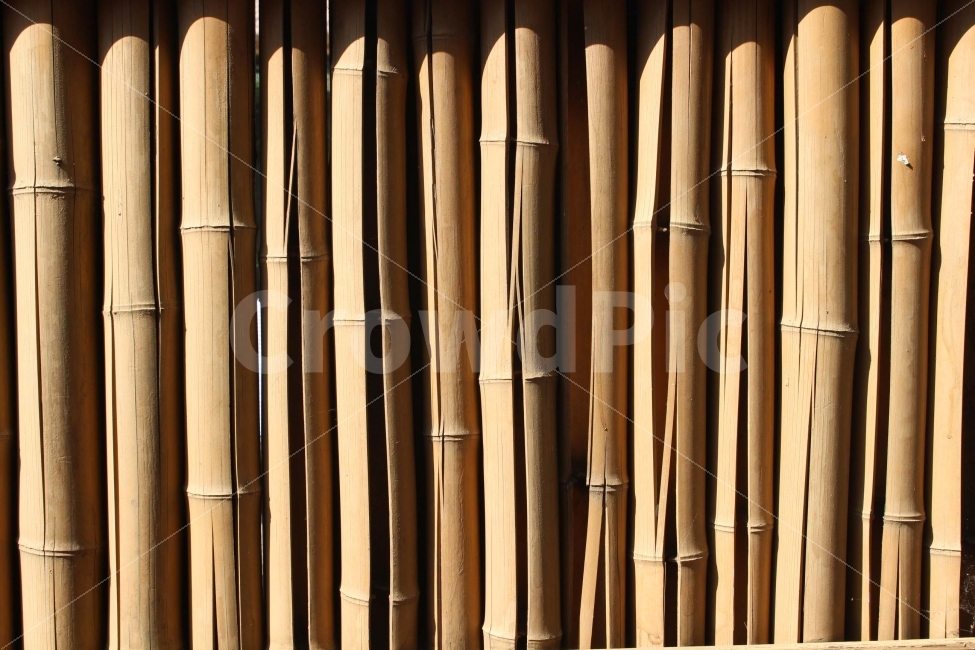 대나무,울타리,나무,방해,금지,배경,백그라운드,background,texture,텍스처,질감,패턴,texture,pattern